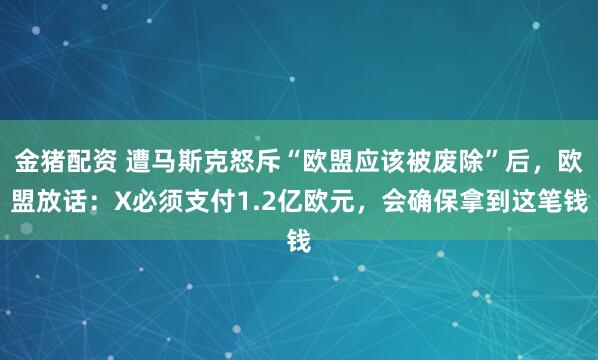 金猪配资 遭马斯克怒斥“欧盟应该被废除”后，欧盟放话：X必须支付1.2亿欧元，会确保拿到这笔钱