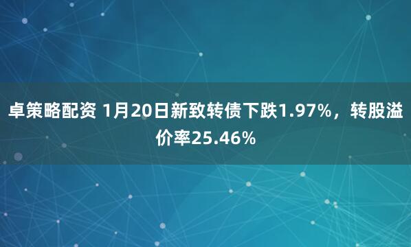 卓策略配资 1月20日新致转债下跌1.97%，转股溢价率25.46%